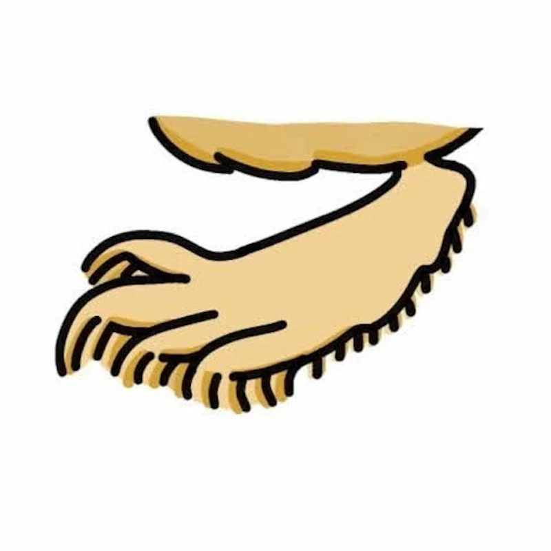 砂漠に適応した体