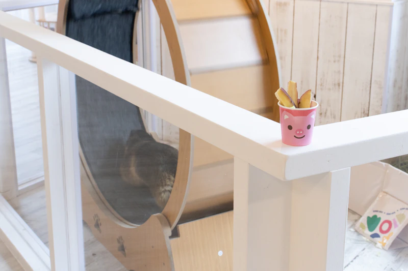 マーモットと野菜