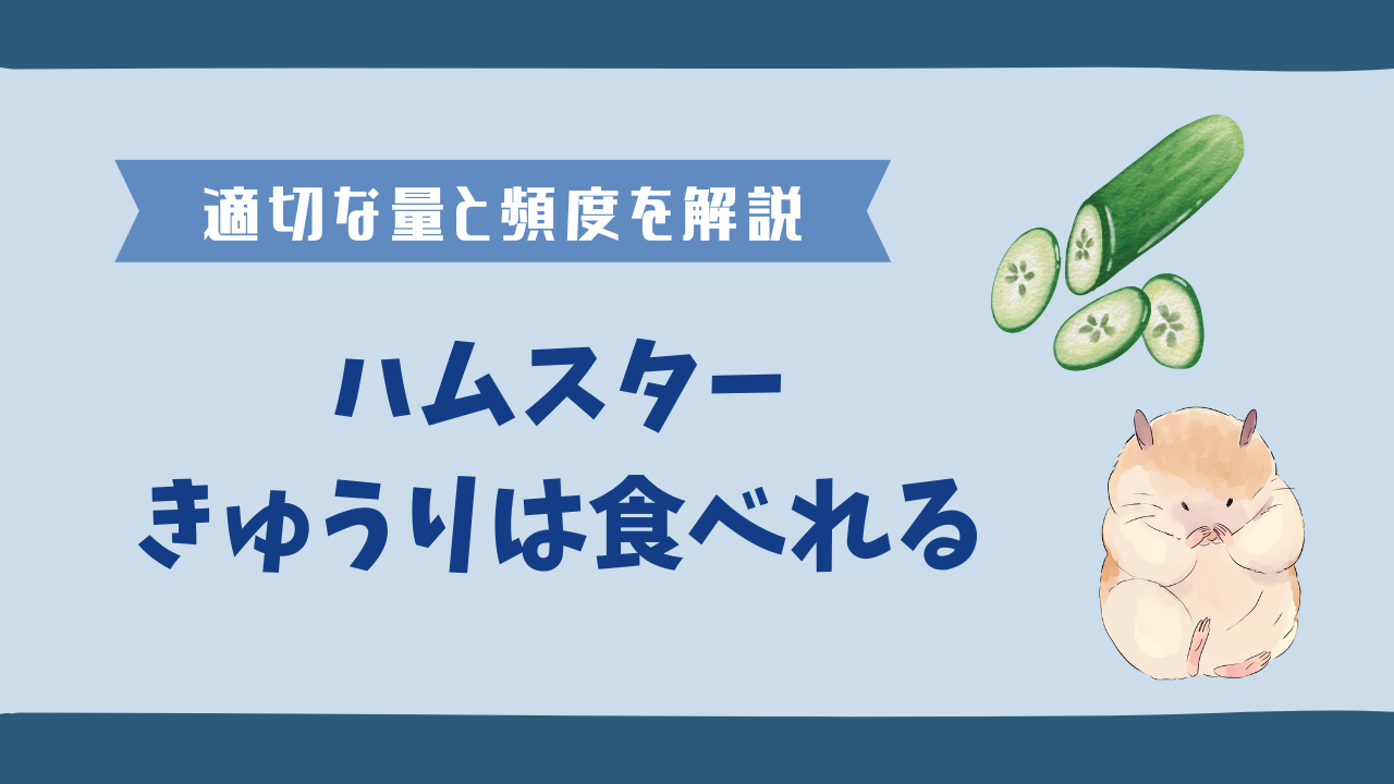 ハムスターにきゅうりをあげても大丈夫？正しい与え方と注意点を解説