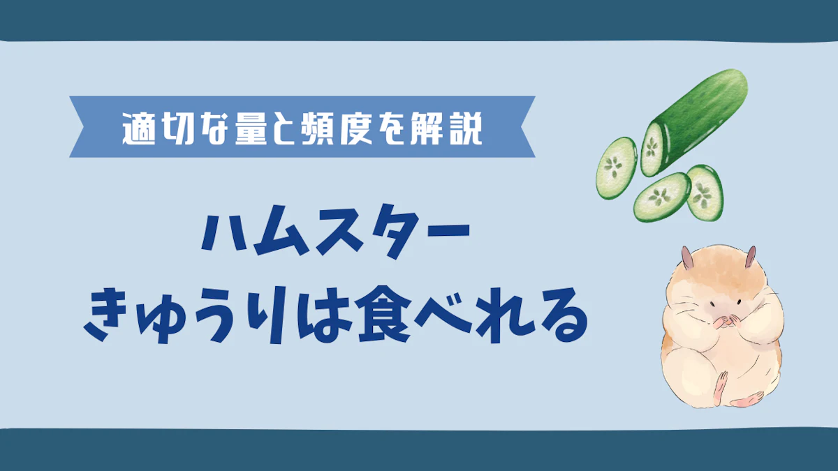 ハムスターにきゅうりをあげても大丈夫？正しい与え方と注意点を解説