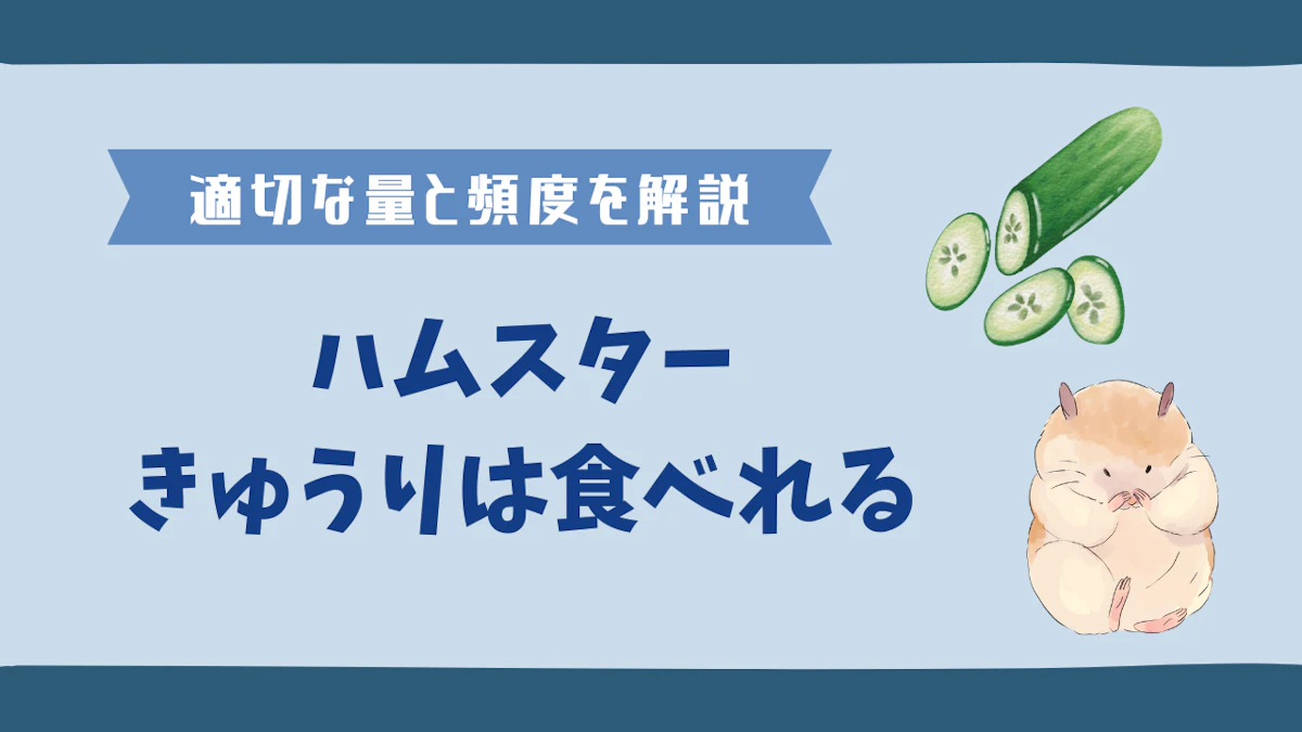 ハムスターにきゅうりをあげても大丈夫？正しい与え方と注意点を解説のサムネイル画像