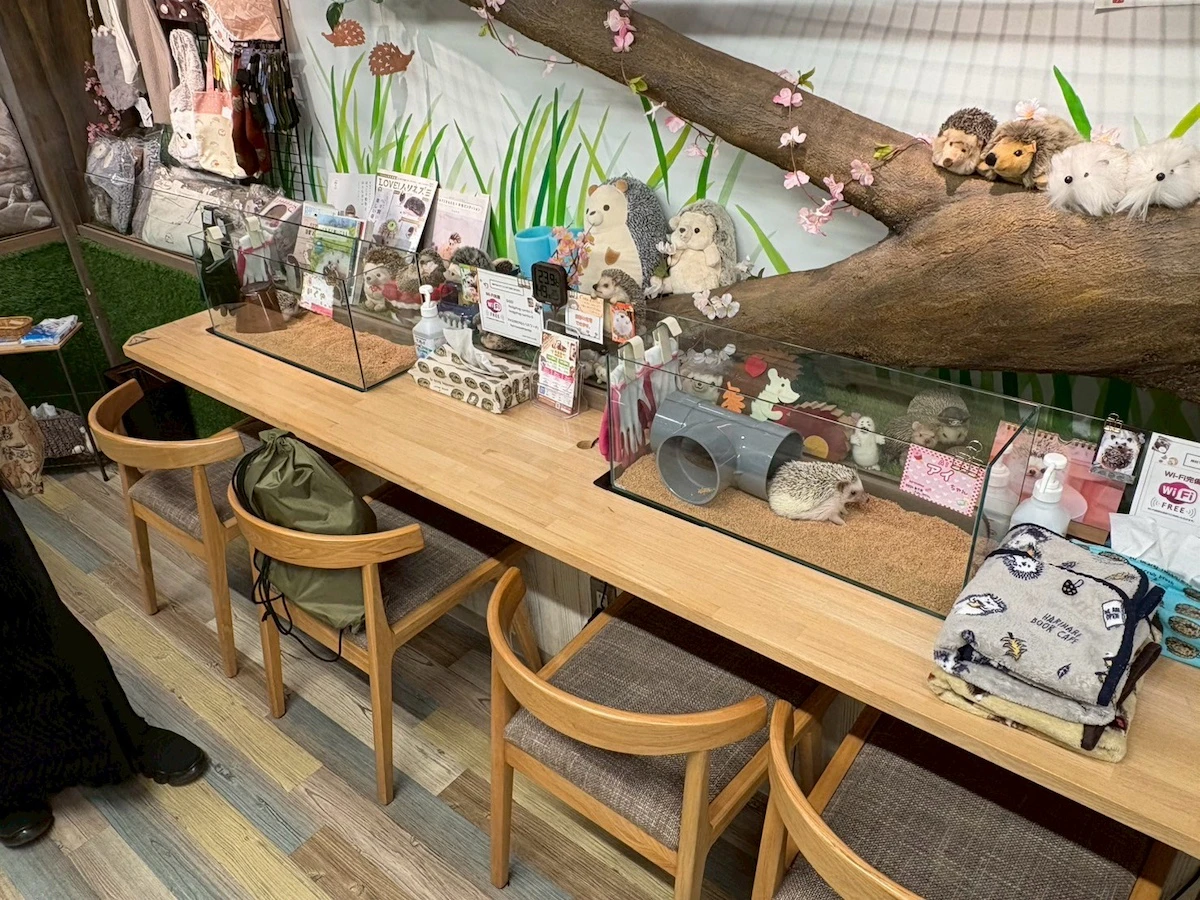 ハリネズミファーストの安心できる環境づくり