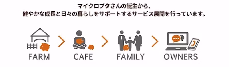 mipigのサービス展開図