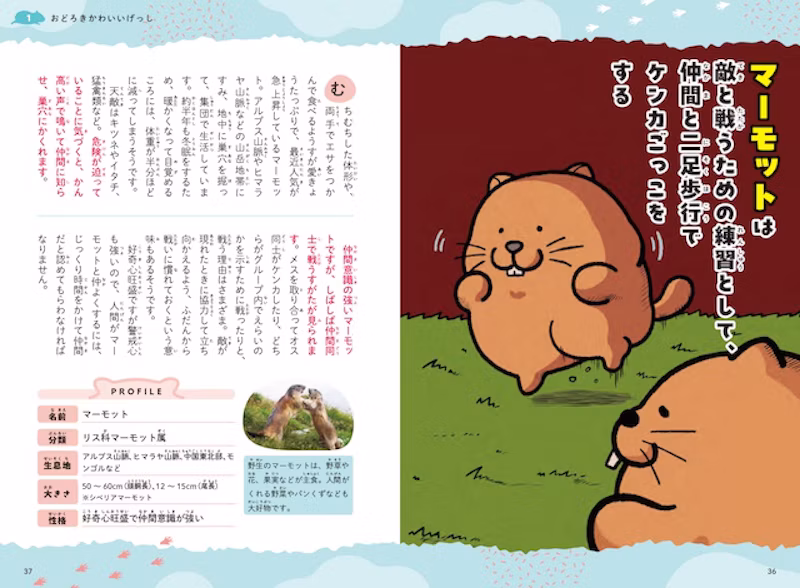 おもしろ解説と特徴をとらえた、おはんさんのかわいいイラスト、げっし動物の写真を掲載。プラス情報をマンガでも紹介します。