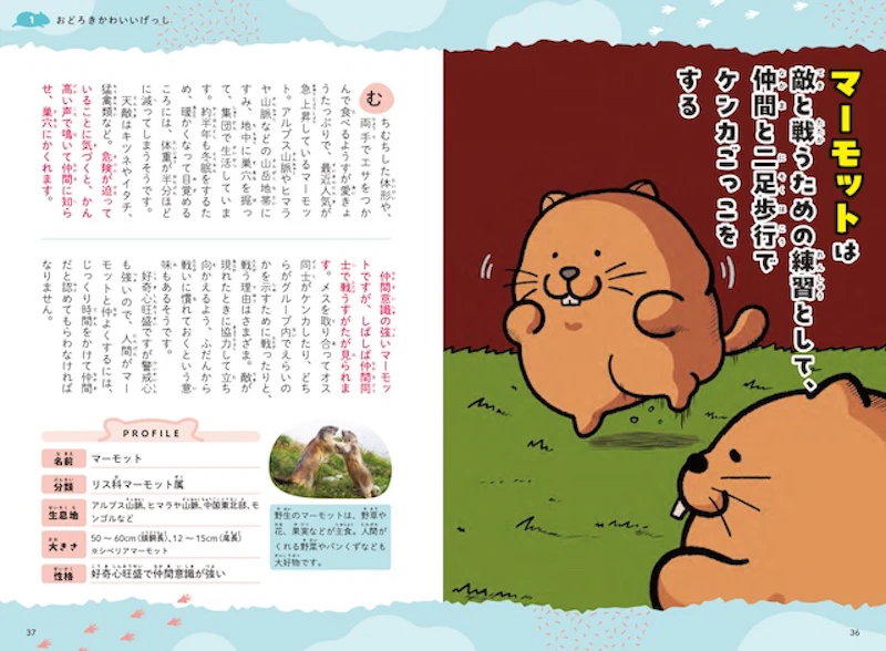 おもしろ解説と特徴をとらえた、おはんさんのかわいいイラスト、げっし動物の写真を掲載。プラス情報をマンガでも紹介します。