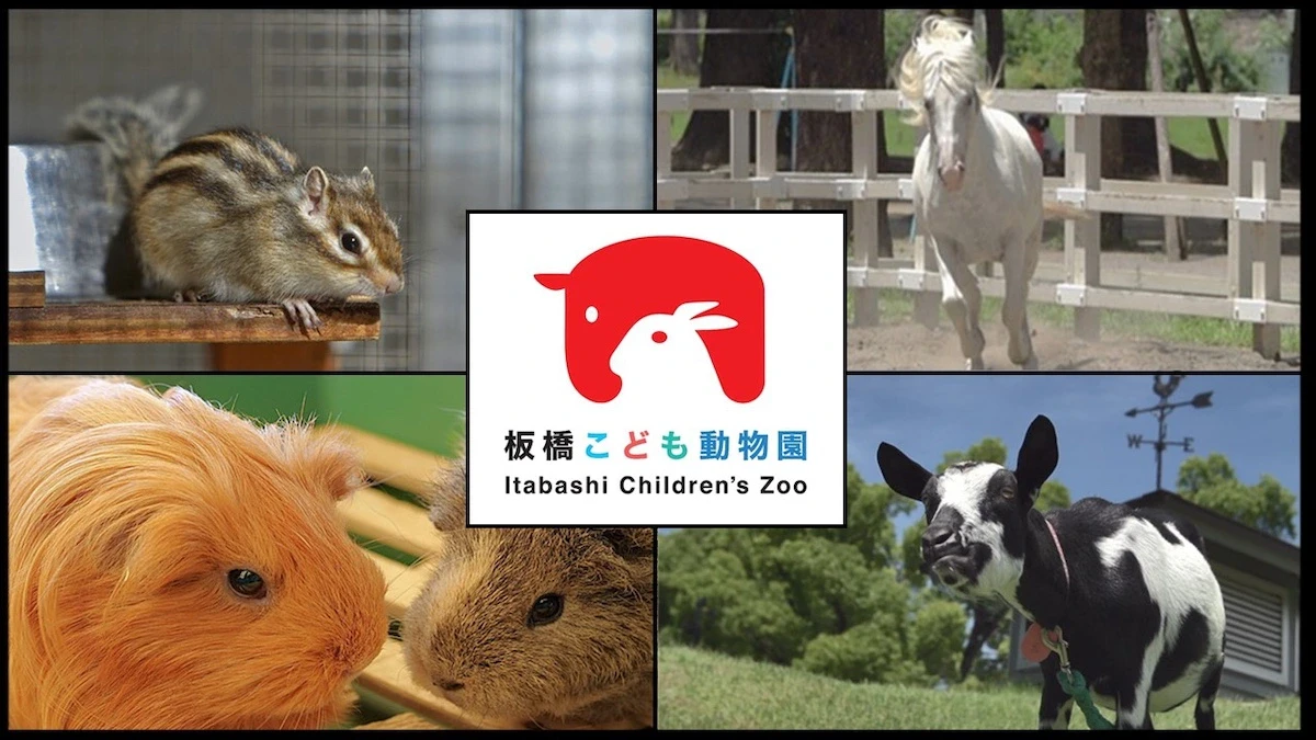 板橋こども動物園の新PVが公開。担当者「癒されてほしい」