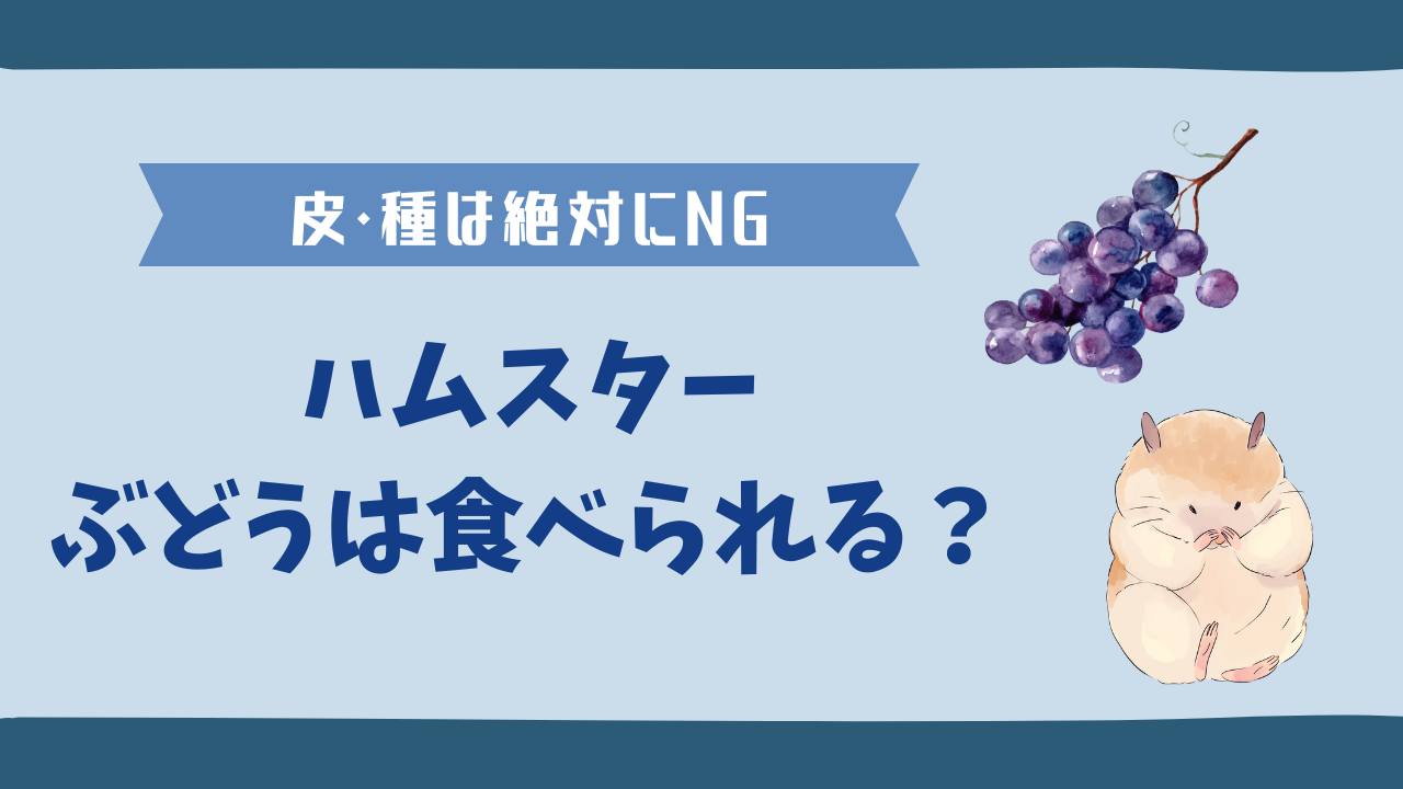 ハムスターはぶどうを食べられる？皮と種の危険性と与え方を解説