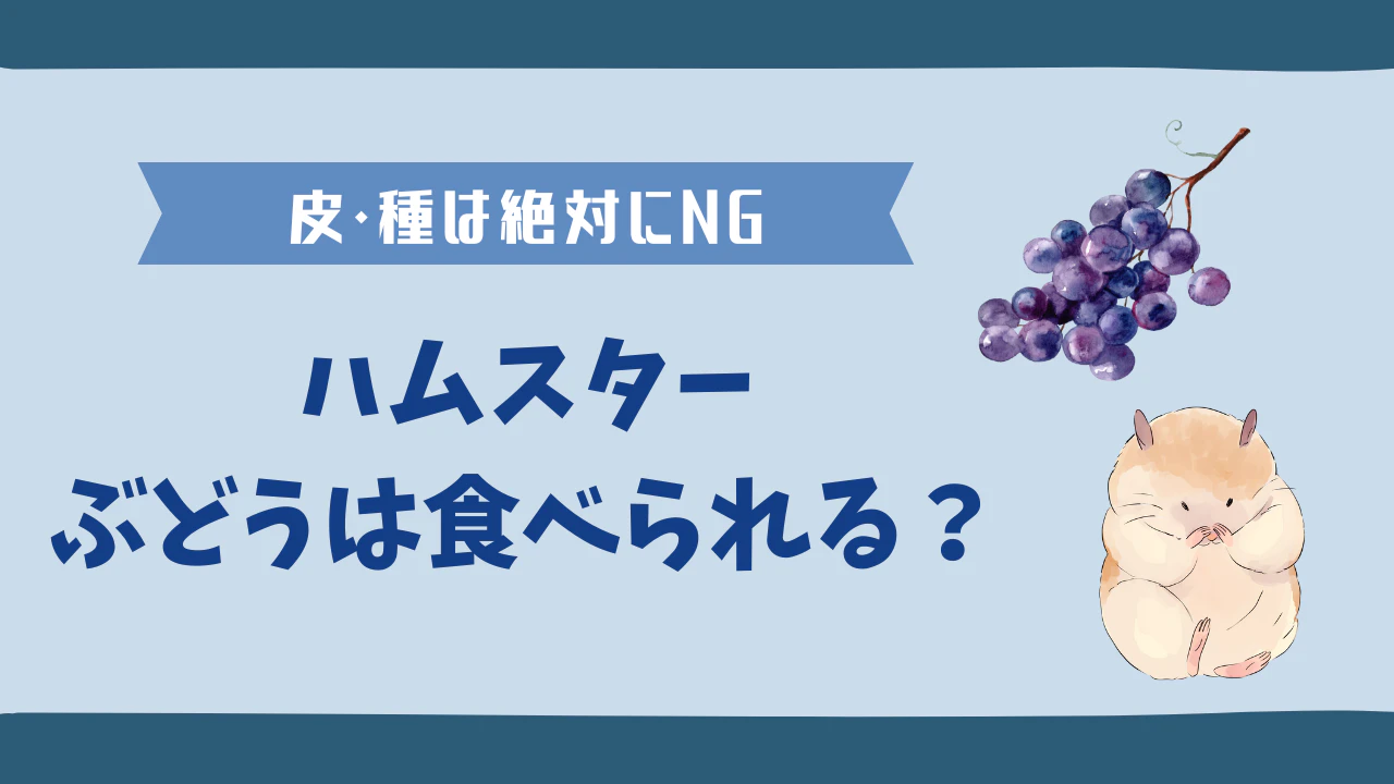 ハムスターはぶどうを食べられる？皮と種の危険性と与え方を解説のサムネイル画像