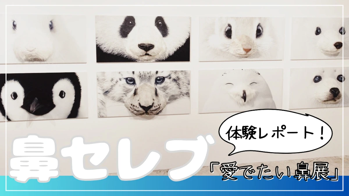 鼻セレブ『愛でたい鼻展』を体験レポート！動物たちのキュートなお鼻に注目のサムネイル画像