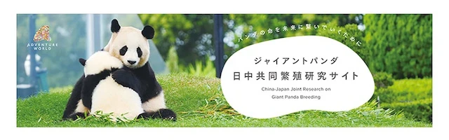 ジャイアントパンダ日中共同繁殖研究サイト