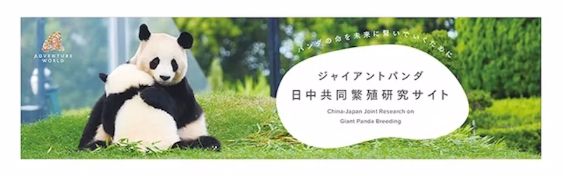 ジャイアントパンダ日中共同繁殖研究サイト