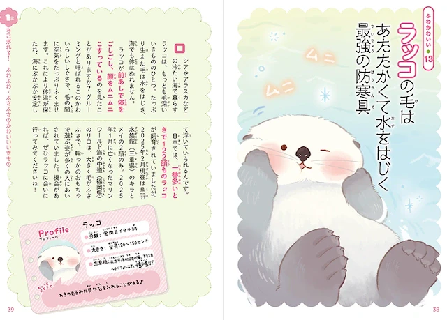 ラッコの毛