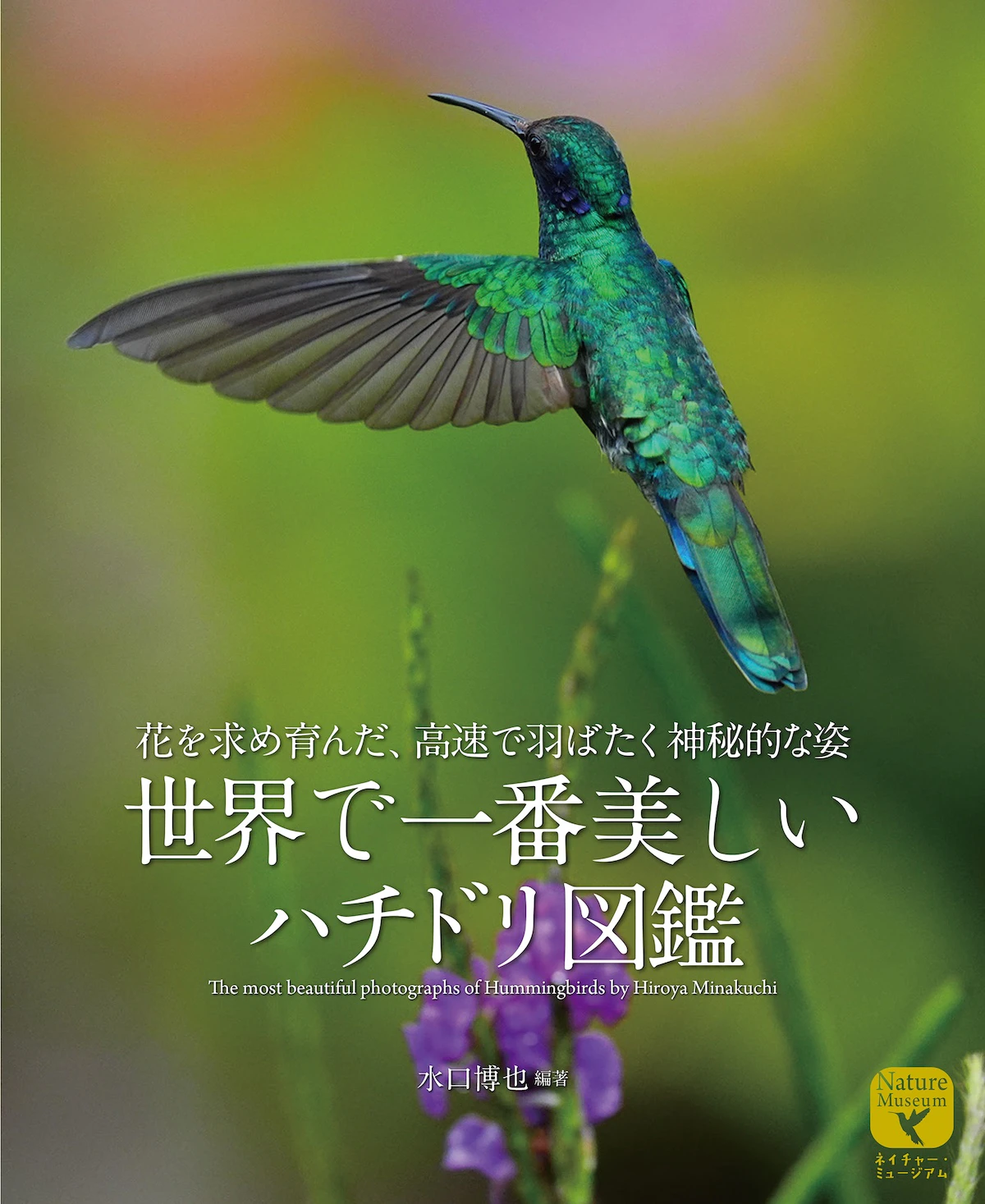世界最小の鳥マメハチドリも登場!『世界で一番美しい ハチドリ図鑑』発売へ