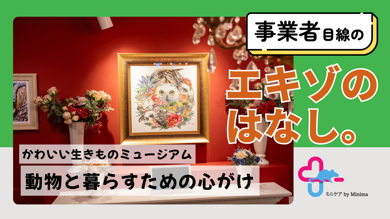 「かわいい生きものミュージアム」代表・土橋正臣さんに聞く、動物と共に暮らすための心がけ【エキゾのはなし。#8】