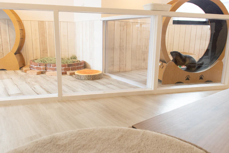 座席からみた景色のイメージ（レンガの中でお昼寝中）