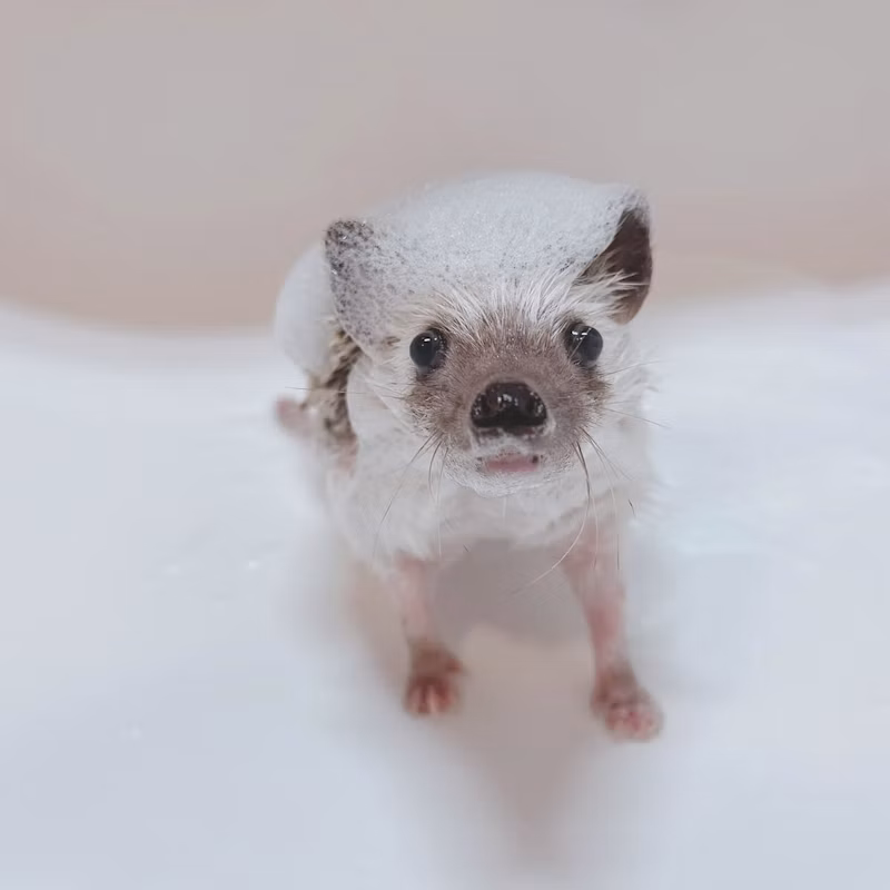 お風呂が気持ちよさそう♪