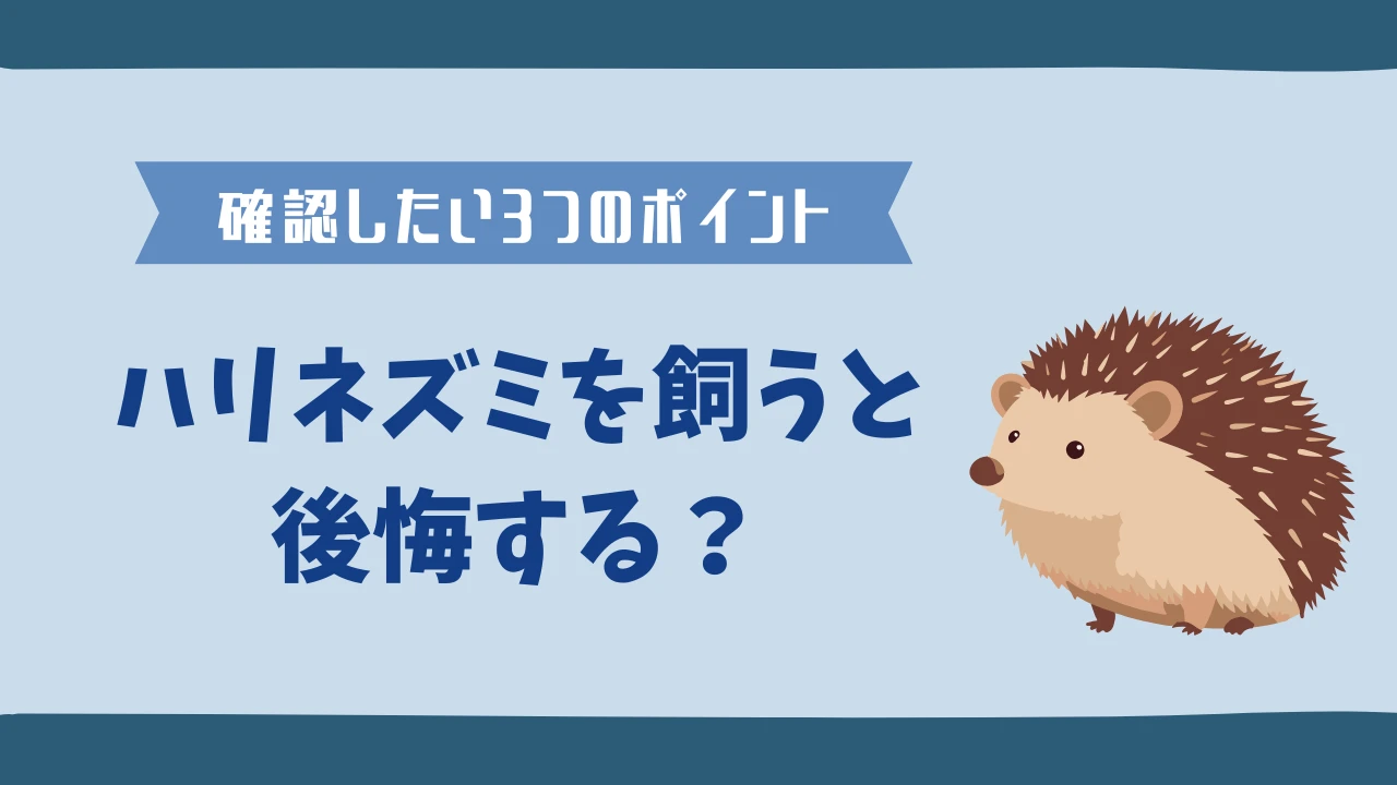 ハリネズミを飼って後悔する人は？ 知っておきたい7つの現実のサムネイル画像