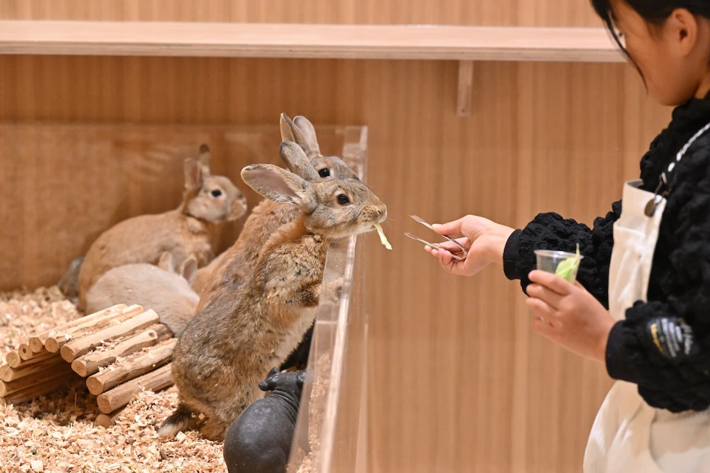 Moff animal cafe ららぽーと堺店
