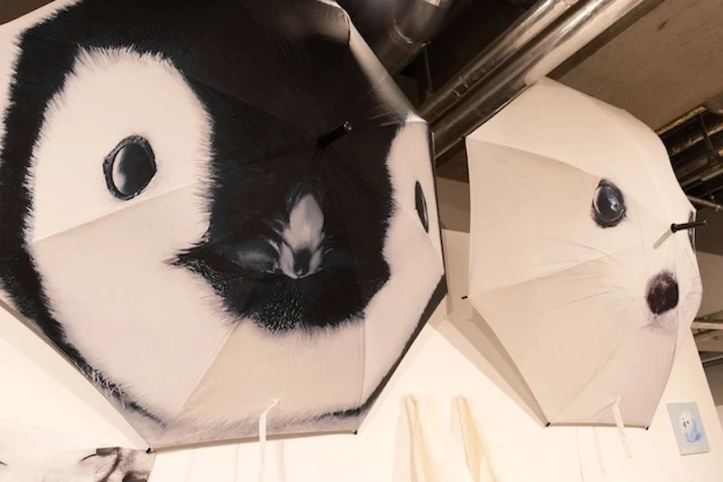 この傘ほしい…！