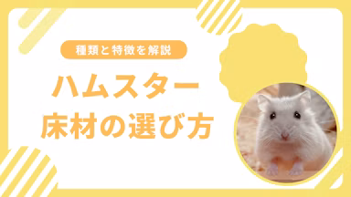 ハムスターの床材選びで失敗しない!種類別の特徴と安全な選び方を解説のサムネイル画像