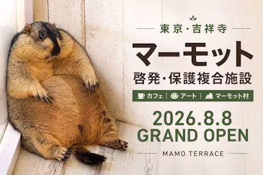 吉祥寺にマーモット保護・啓発複合施設「マモテラス」8月8日開業へのサムネイル画像