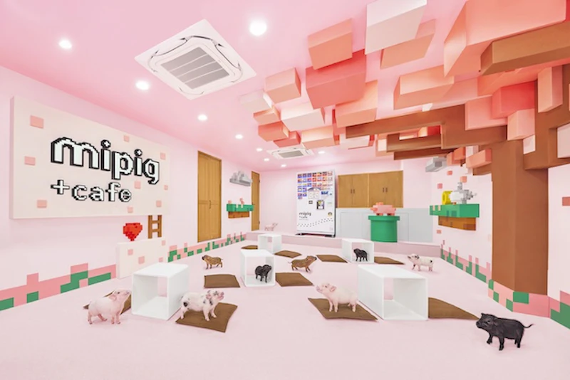 内観風景＜桜フロア＞