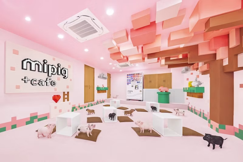 内観風景<桜フロア>