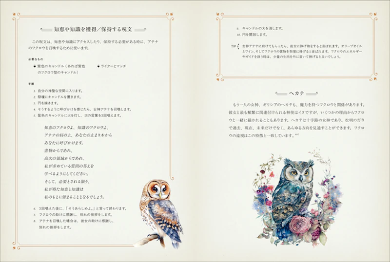 知恵や知識を獲得／保持する呪文