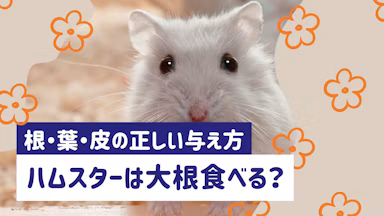 ハムスターは大根を食べられる！根・葉・皮の安全性と正しい与え方のサムネイル画像