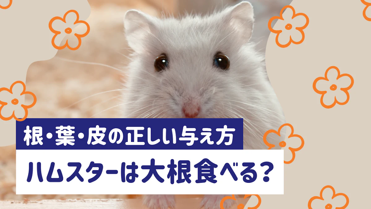 ハムスターは大根を食べられる！根・葉・皮の安全性と正しい与え方