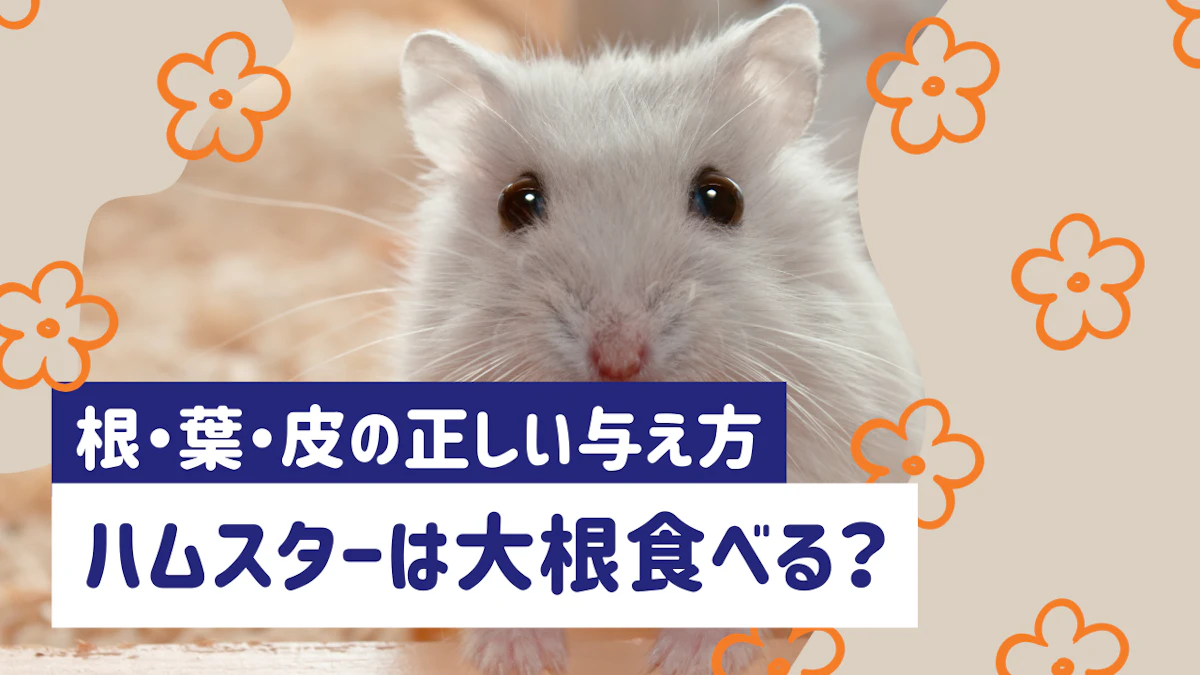 ハムスターは大根を食べられる!根・葉・皮の安全性と正しい与え方のサムネイル画像