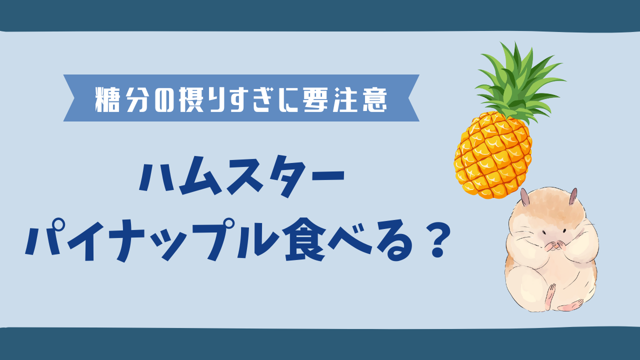 ハムスターにパイナップルを与えても大丈夫？糖分の量には注意が必要