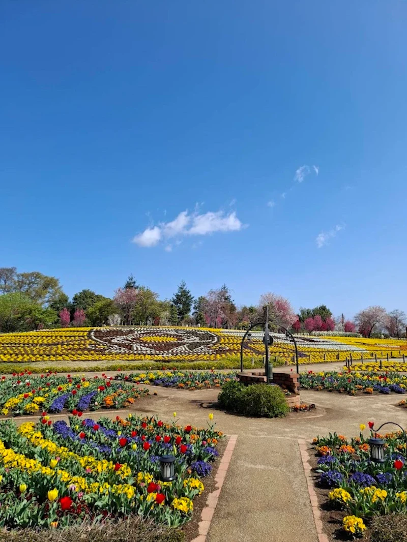 クラブエンブレムを模ったコラボ花壇