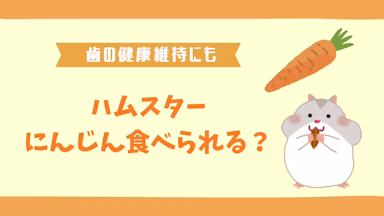 ハムスターににんじんを与える正しい方法｜適量と注意点を徹底解説のサムネイル画像