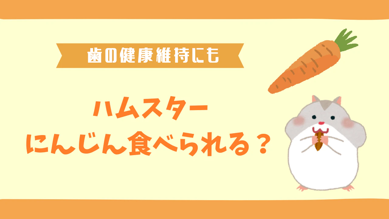 ハムスターににんじんを与える正しい方法｜適量と注意点を徹底解説のサムネイル画像