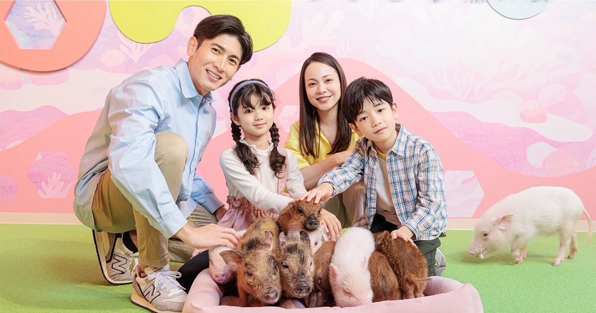 マイクロブタやフクロウとの触れ合いが楽しめる。DMMかりゆし水族館「ふれあい広場tetote」2025年春オープンのサムネイル画像