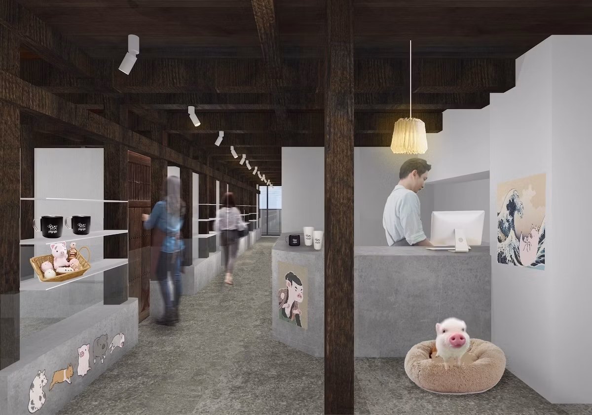 和×マイクロブタの癒し空間！「pignic cafe」が浅草に5店舗目をオープン