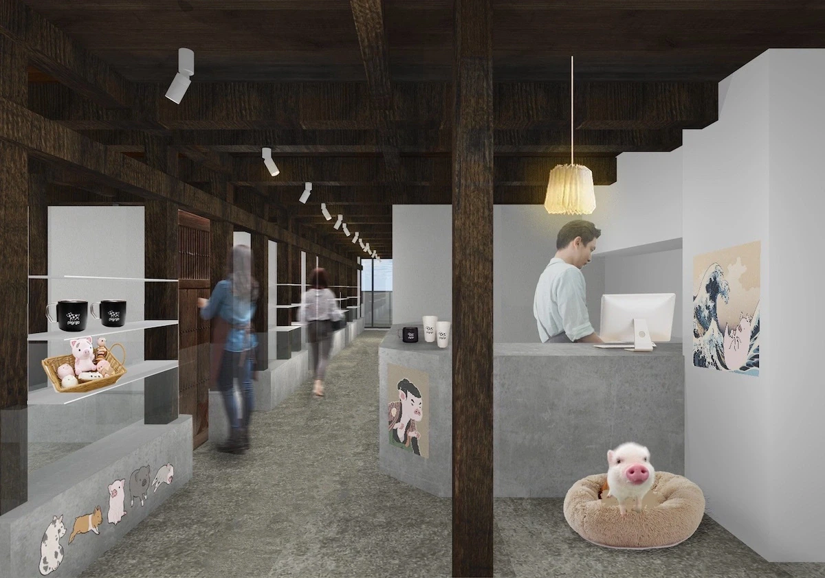 和×マイクロブタの癒し空間！「pignic cafe」が浅草に5店舗目をオープン