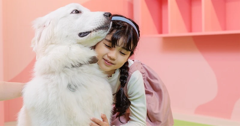 大型犬との触れ合い