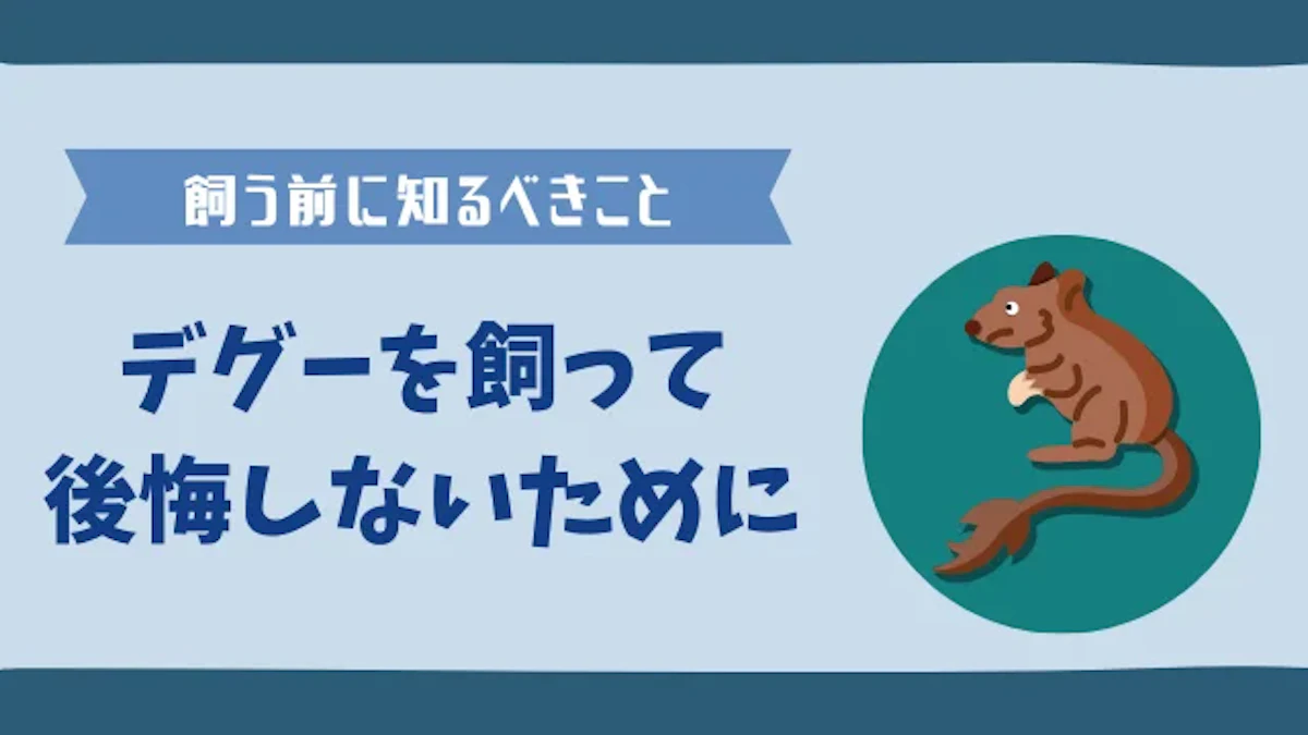 デグーを飼って後悔する人とは？ 知っておくべき5つの注意点