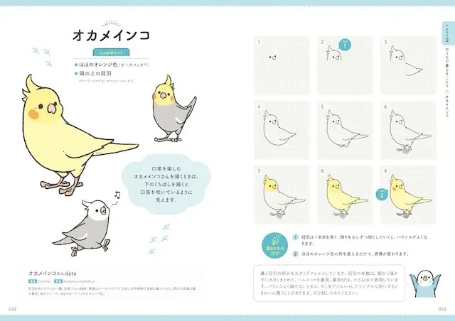 描き方の手順にはマス目があるので、大きさや形をとらえやすい！ （PART2 おうちで暮らすことり／オカメインコ）