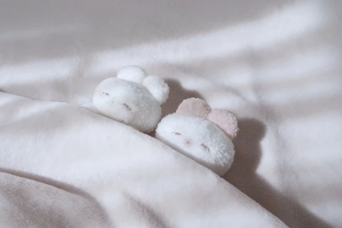 REMMEが贈る「うさぎのねむちゃん」初の絵本｜限定ぬいぐるみ付きで