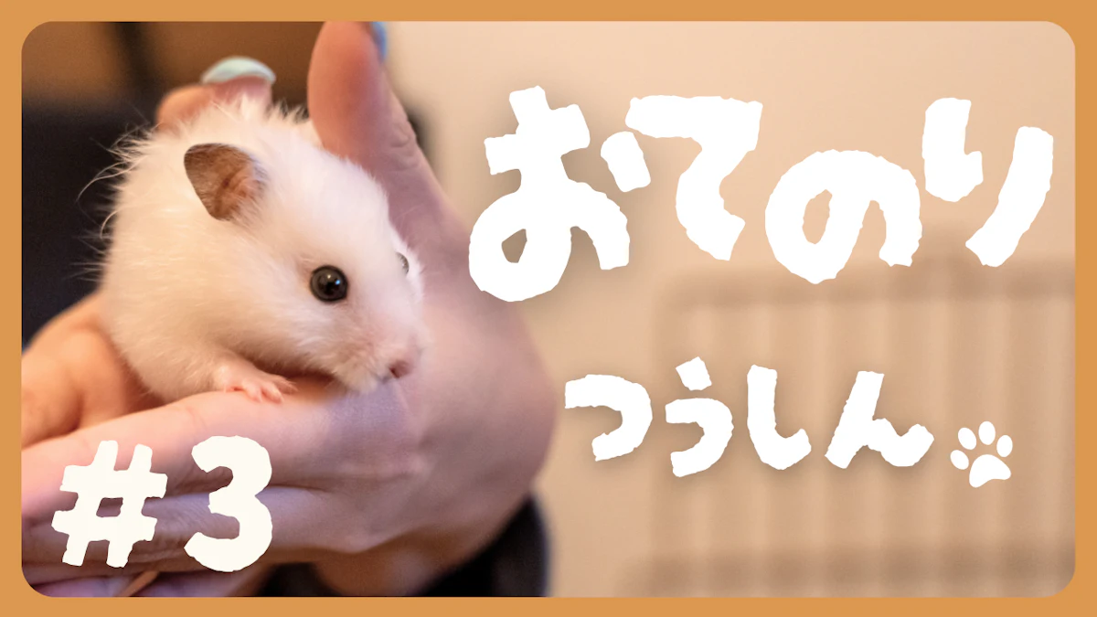 Minimaが1歳の誕生日を迎えました！【おてのりつうしん#3】