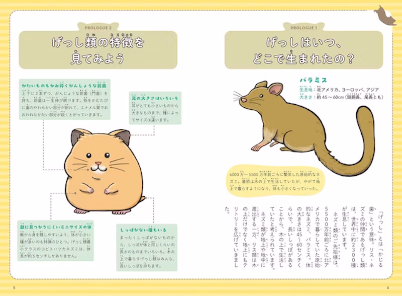 げっし動物の誕生から特徴、種類の解説も掲載