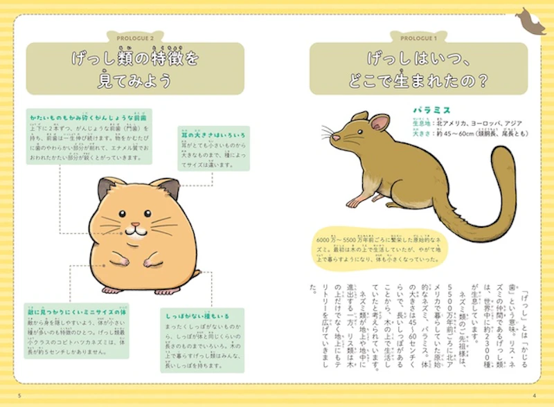げっし動物の誕生から特徴、種類の解説も掲載