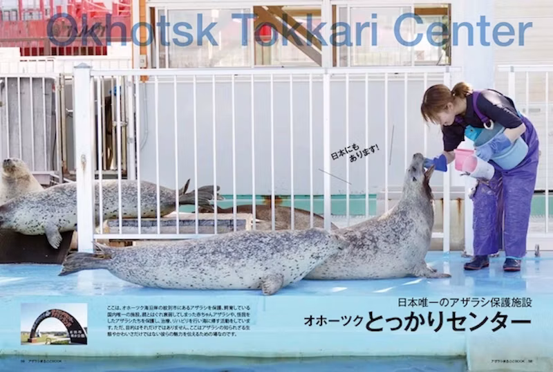 ページ、オホーツクとっかりセンター（『アザラシまるごとBOOK』より）