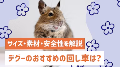 デグーの回し車おすすめの選び方｜サイズ・素材・安全性を徹底解説のサムネイル画像