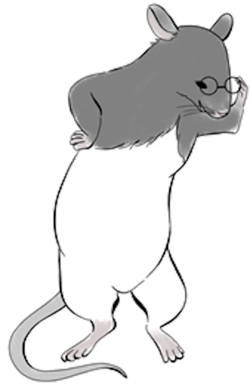 林姫花特任助教