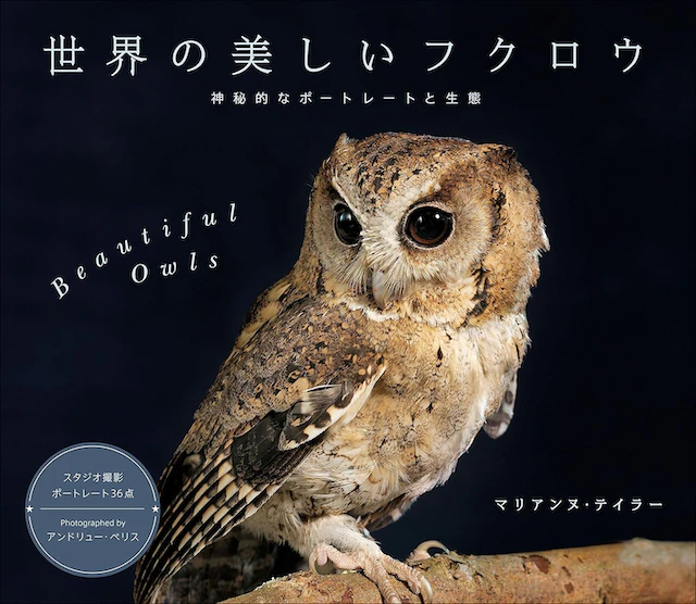 世界の美しいフクロウ 神秘的なポートレートと生態