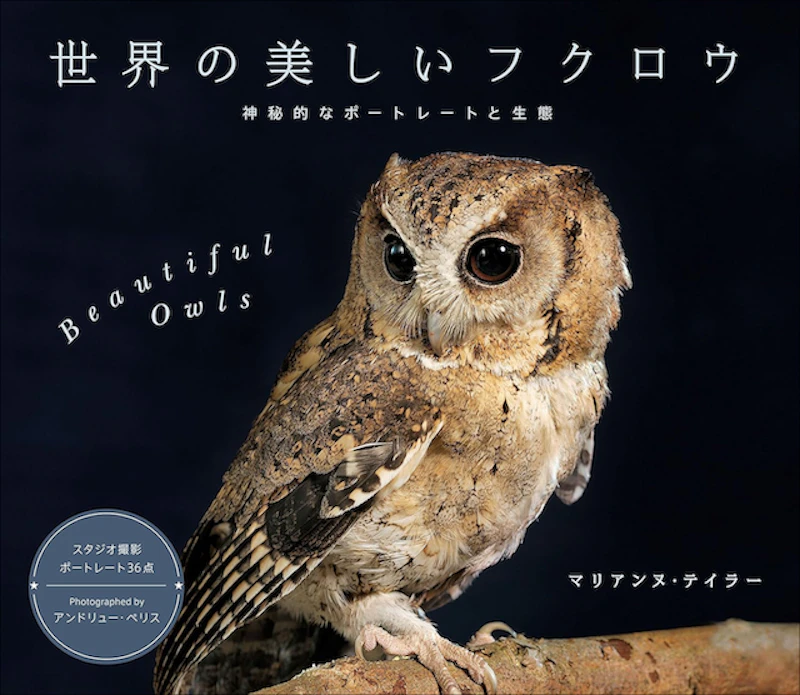 世界の美しいフクロウ 神秘的なポートレートと生態